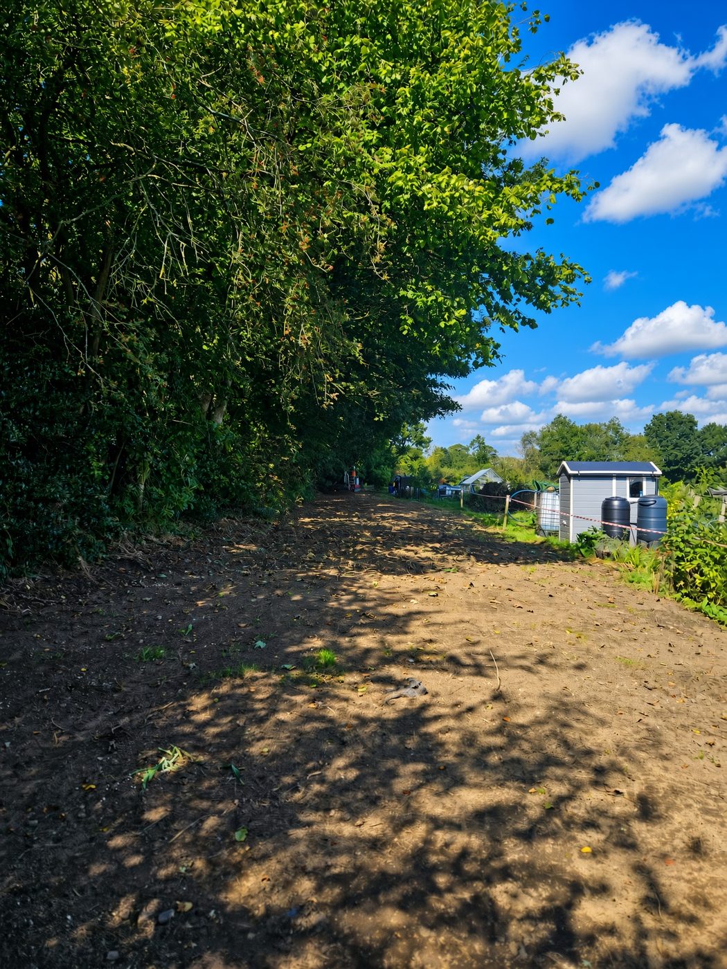 The cleared and levelled route through the trees