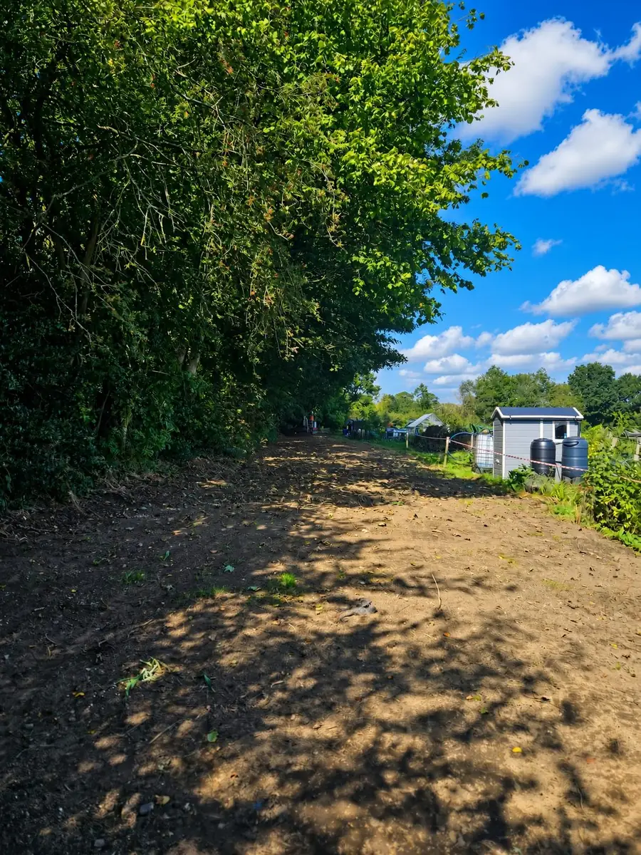 The cleared and levelled route through the trees